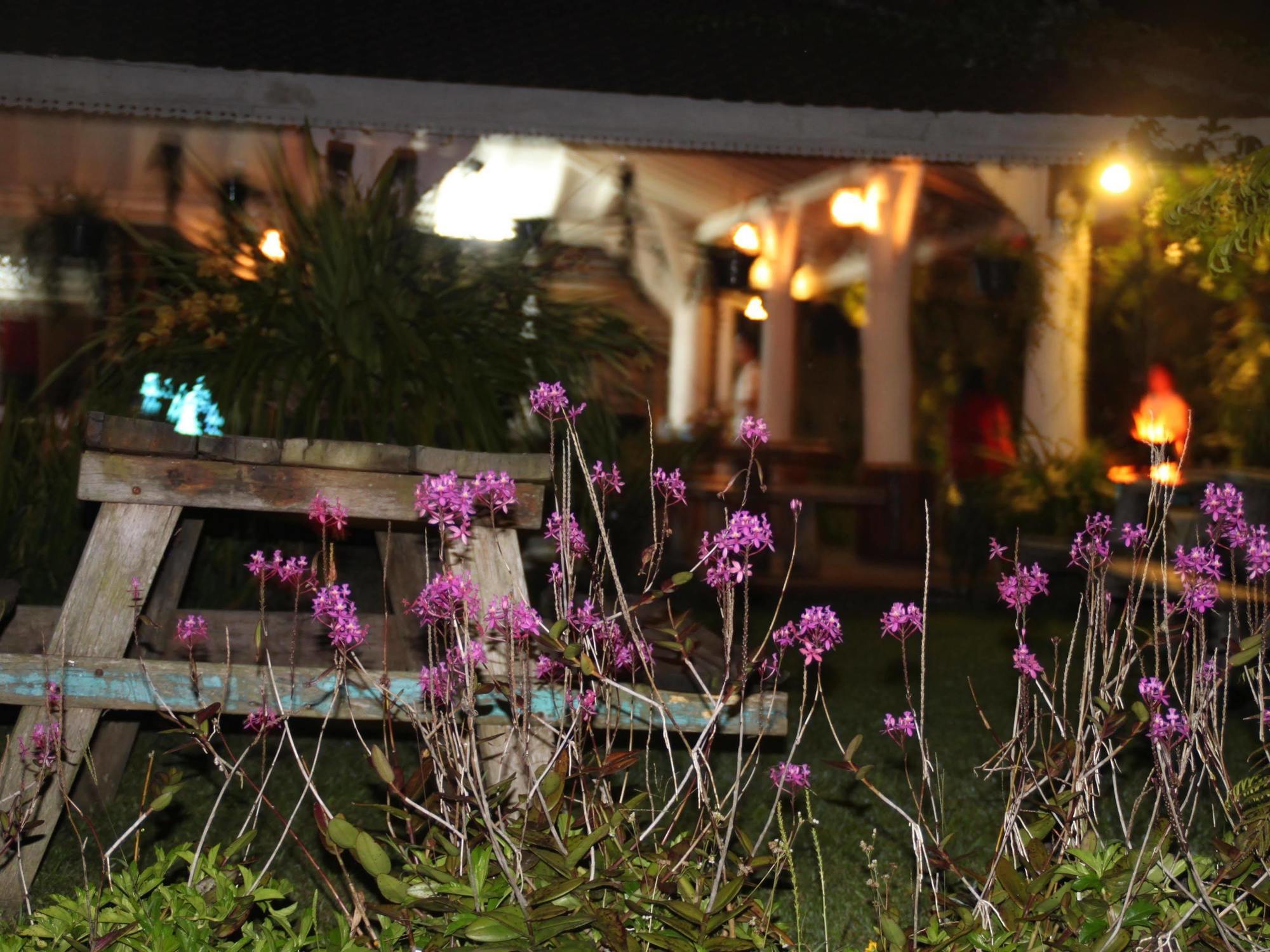 Warung Rekreasi Bedugul Hotel Bagian luar foto