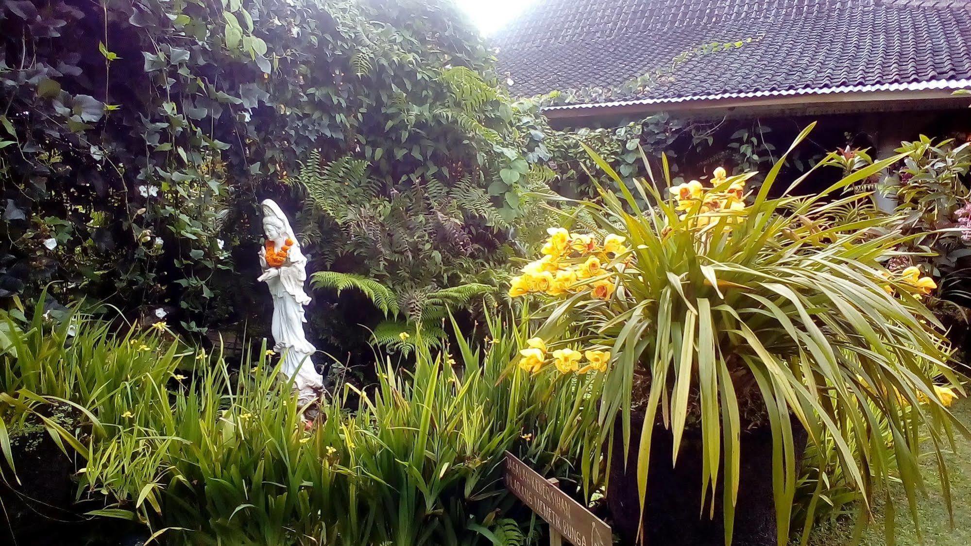 Warung Rekreasi Bedugul Hotel Bagian luar foto